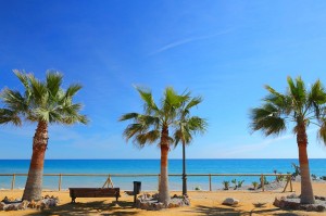 Lire la suite à propos de l’article Marbella : en plein cœur de la Costa del Sol